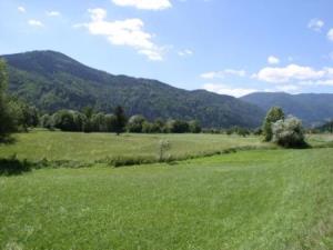 View of Dobrovlje, spread with many roads and marked mountain paths